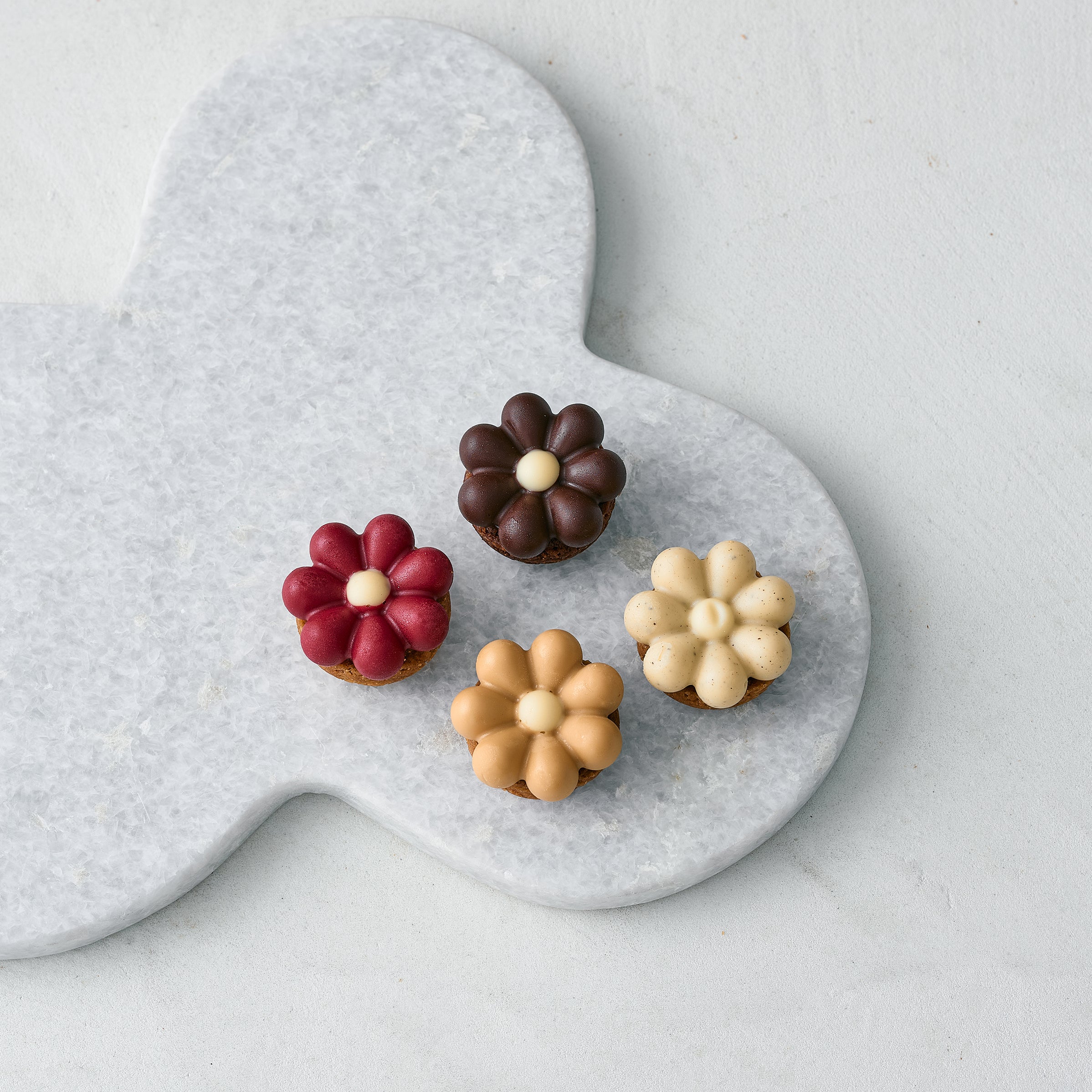 TarteletteChocolat 12個(タルトレット ショコラ)