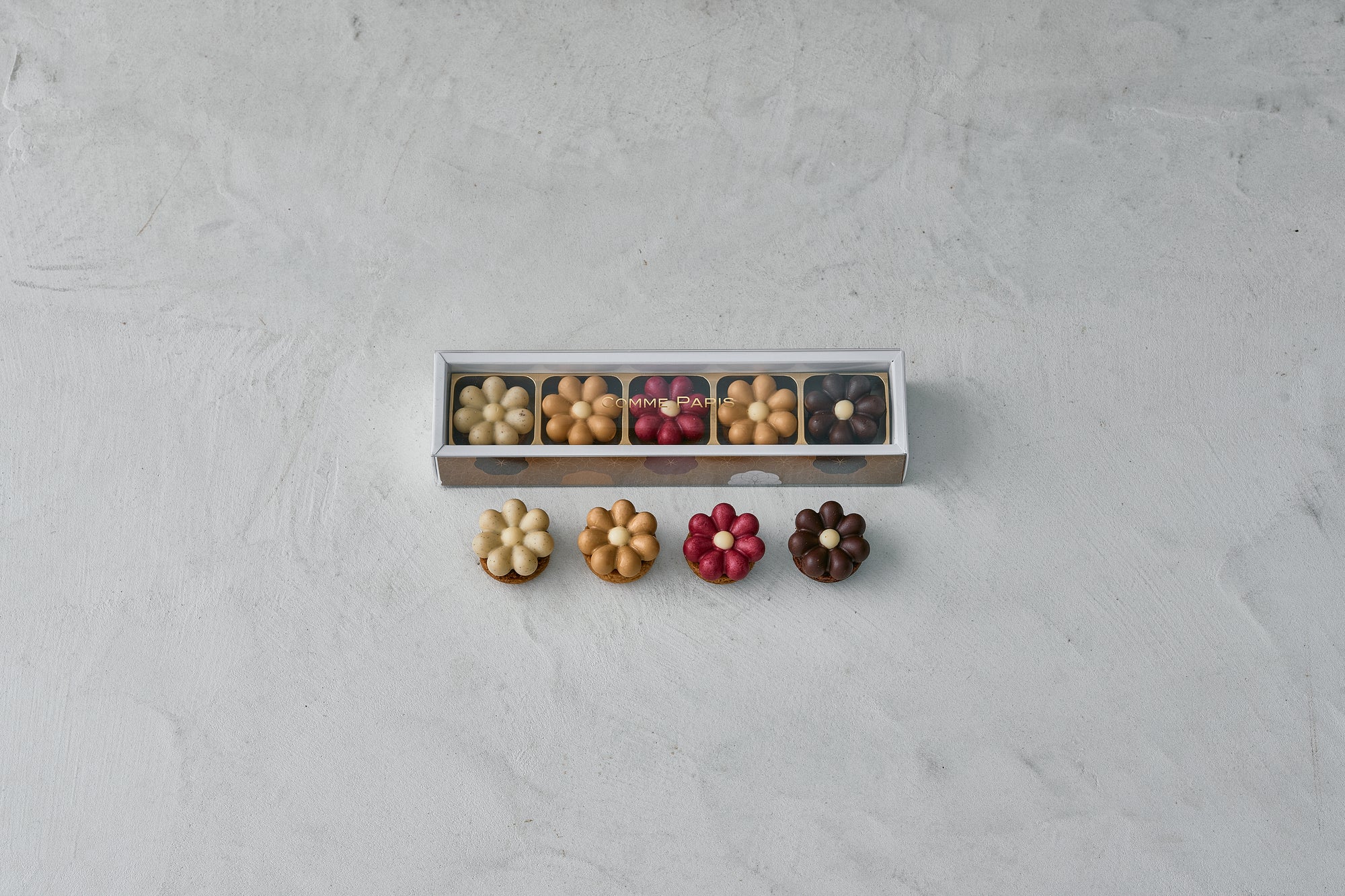 Tartelette Chocolat 5個(タルトレットショコラ)