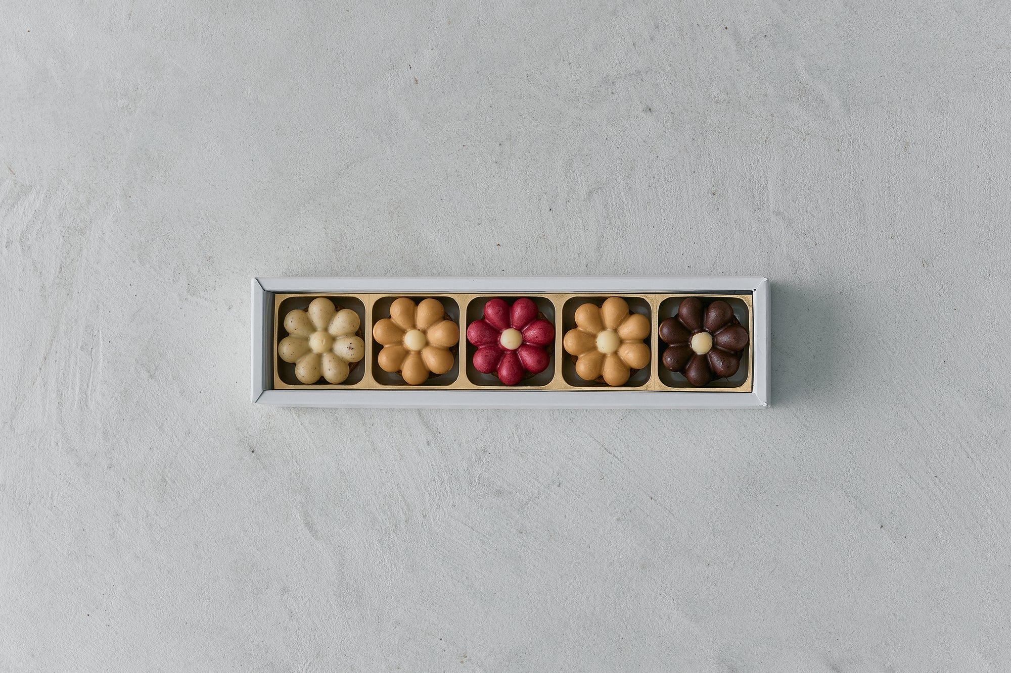 Tartelette Chocolat 5個(タルトレットショコラ)