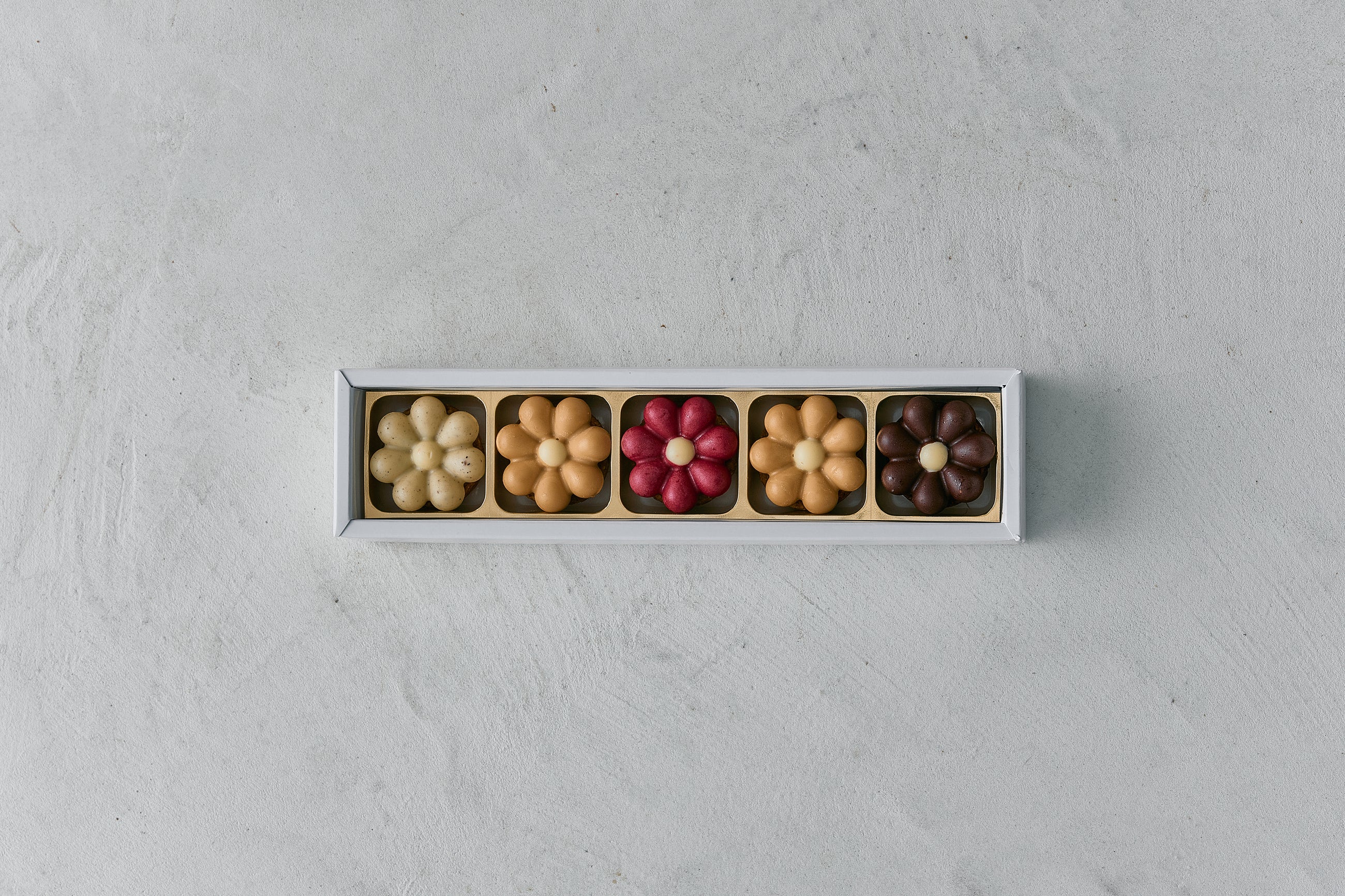 Tartelette Chocolat 5個(タルトレットショコラ)