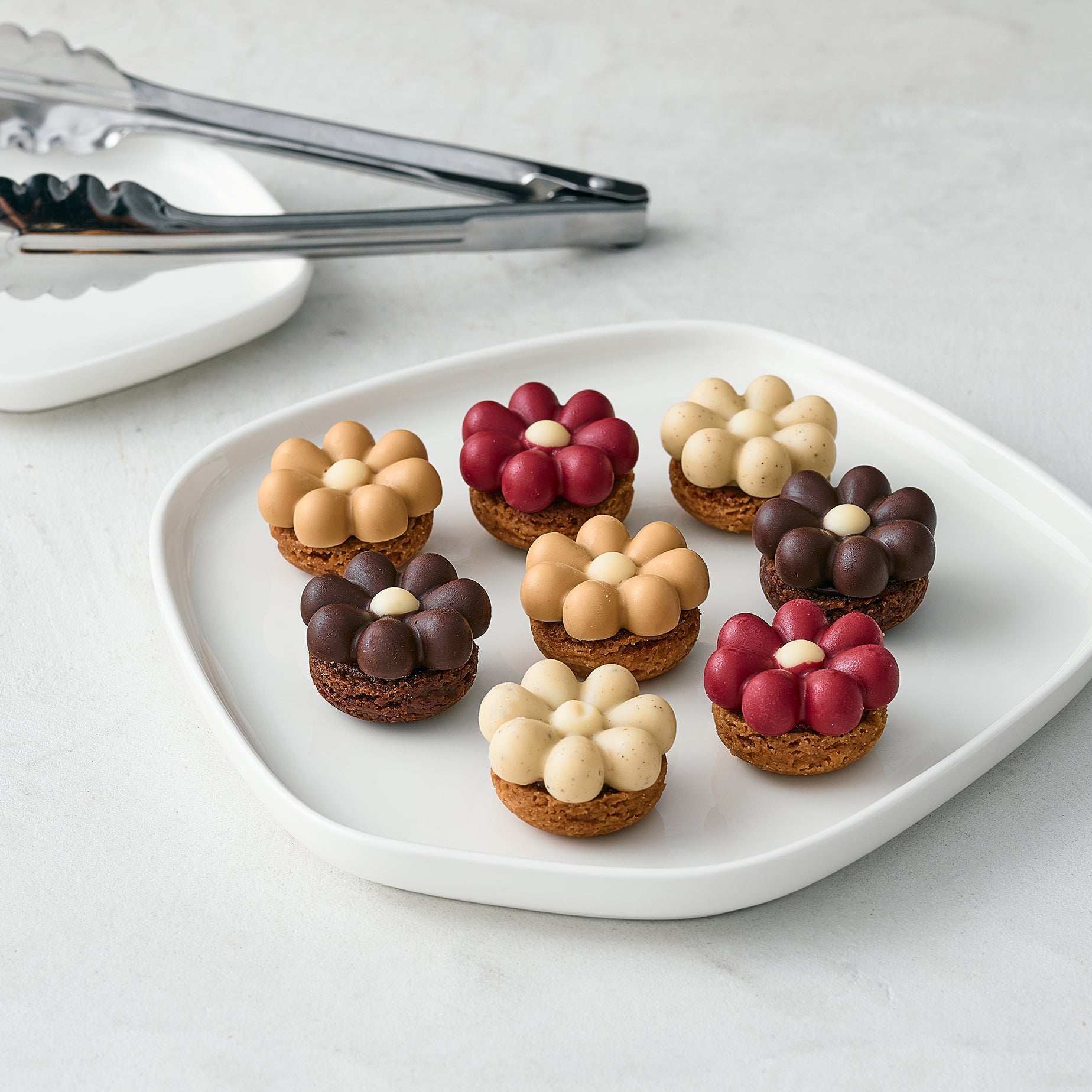 Tartelette Chocolat　5個（タルトレットショコラ）