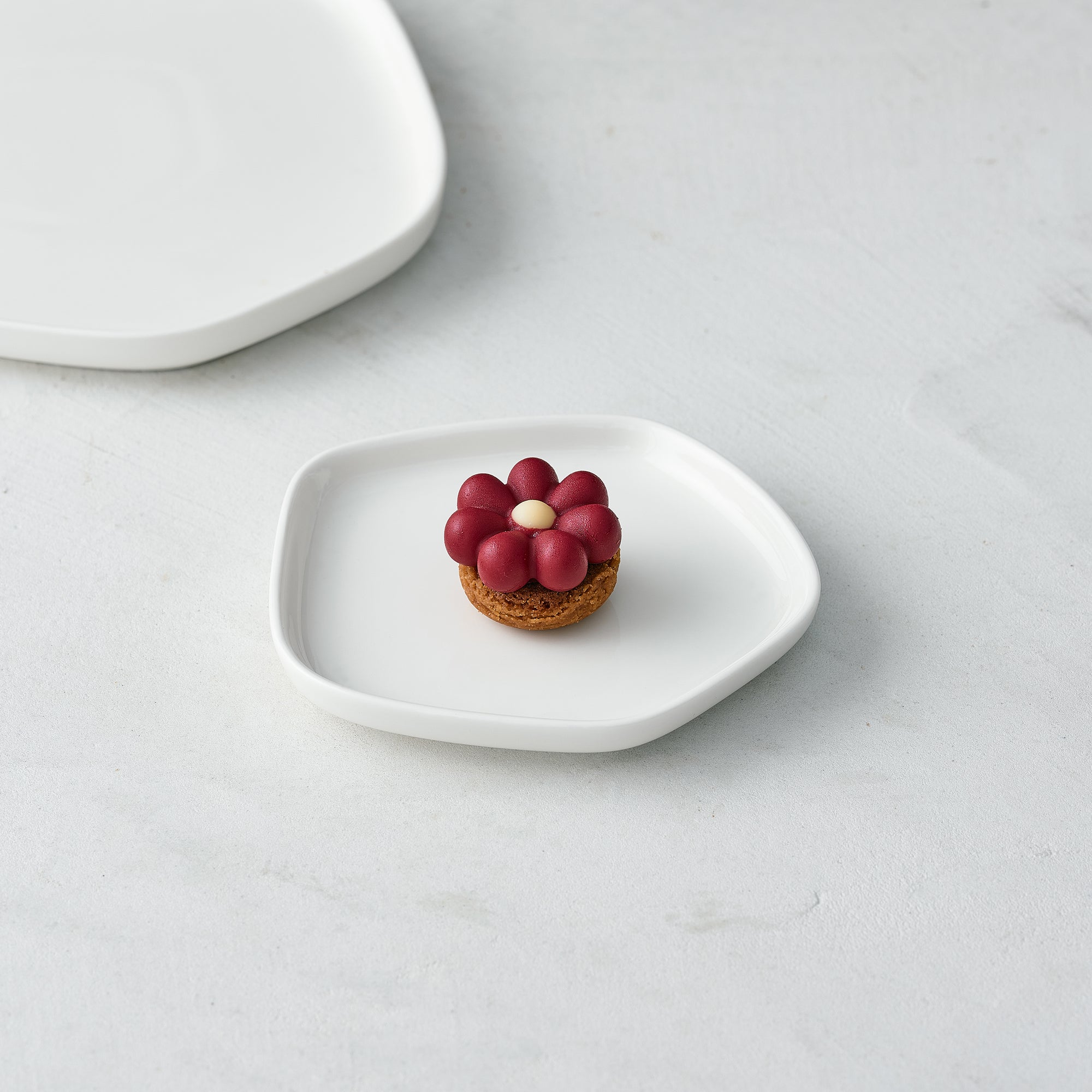 Tartelette Chocolat　5個（タルトレットショコラ）